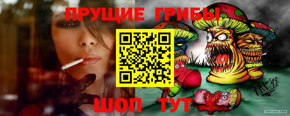 Псилоцибиновые грибы MAGIC MUSHROOMS  Вход с VPN  Йошкар-Ола 